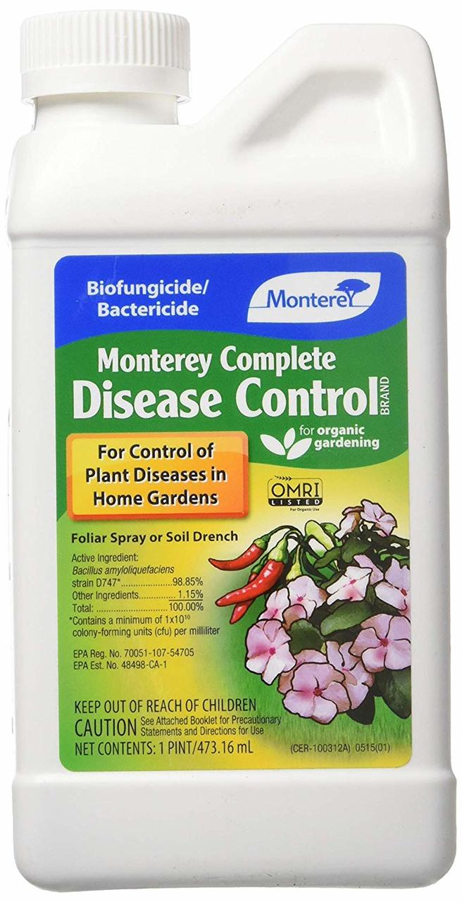 Indoor Fly Trap - Monterey Lawn & Garden