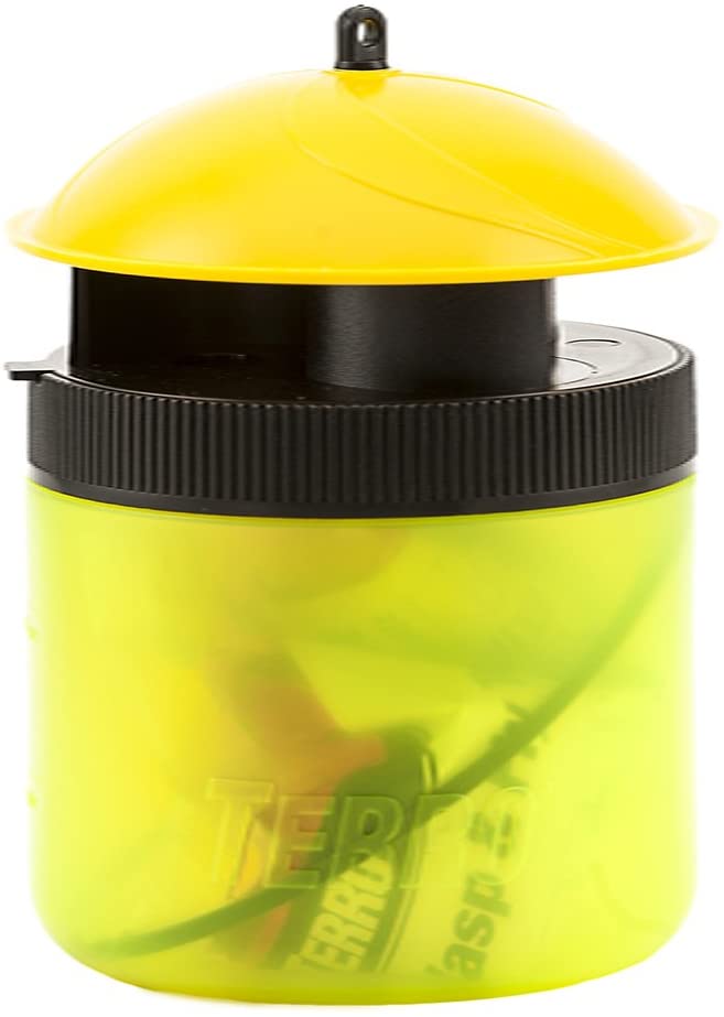 Buy TERRO Fruit Fly Trap Online in USA, TERRO Fruit Fly Trap Price